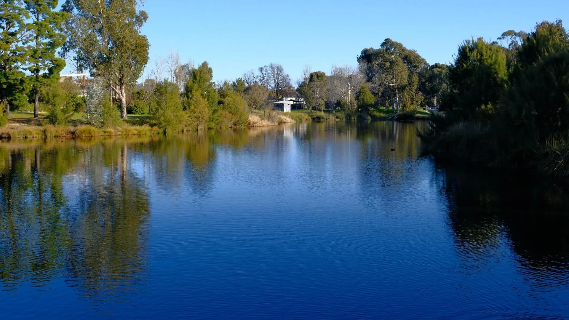 Japanese Penthouse Retreat 1B1B 2 Parking 5-Min Tram-To-Cbd Brekky Wifi Netflix Apartment Canberra